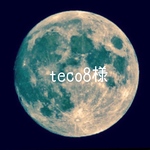 teco8様　ご注文分　シリコンモールド 