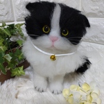 （mokko-moko様専用ページ最愛のネコちゃん）