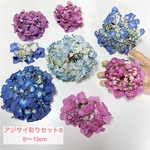 期間限定梅雨の紫陽花祭り アジサイドライフラワーセット No1231