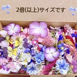 ドライフラワー🌸花材／大きなサイズ