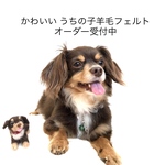 羊毛フェルトうちのこ オーダー