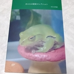 カエルの寝姿コレクション