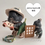 jaime-lapins様専用 オーダーうちのこシリーズ 羊毛フェルト 着せ替えウサギ &ちびっこセット