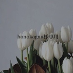 専用ページ