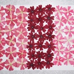 押し花商品【バーベナ】