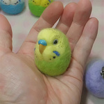 セキセイインコ  パステルグリｰンオパーリン ☆選べる2タイプ☆(Aマグネット・Bクリップ付ブローチピン)  コロコロ♪丸顔  羊毛の小鳥  