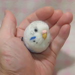ライラックハルクイン セキセイインコ 裏面がチャームポイント☆選べる2タイプ☆(Aマグネット・Bクリップ付ブローチピン)　羊毛フェルト
