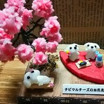チビマルチーズのお花見（再販）