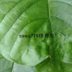【sawa719様専用】