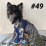 #49わんこの袴(一体型)【松】