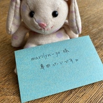 marilyn-go様専用ページです。