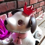 【送料無料】✧aiboクラウン✧メタリックレッド 3Dプリンター sony アイボ✧6-7