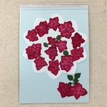  NO.337 ローズレッドの八重紫陽花／押し花素材