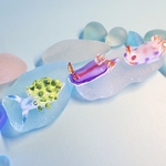 <ミニフィギュア>〜2019年3月再販〜