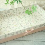 リバティ　トレイ　セオ