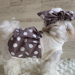 犬服　バルーンワンピ　ドット⚪︎⚫︎