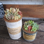 ☆リメ缶☆多肉植物寄せ植え２個セット