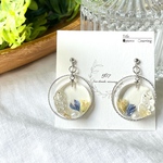 涼雨　ピアス/イヤリング