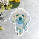 送料無料で実質220円🐶ステッカーワンちゃん🐶