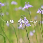 m様　専用ページ