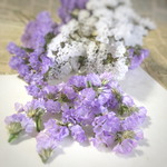 スターチス  ＊soft purple＊