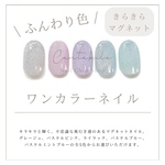 ワンカラーネイル/マグネットネイル/ネイルチップ