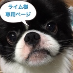 ライム様専用ページ