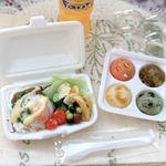 ミニチュア　フェイクフード  ハンバーグ弁当　お持ち帰りアイスセット