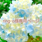 ring-o様専用ページ  10cmサイズケープ2点