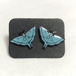（再販）オオミズアオのピアス