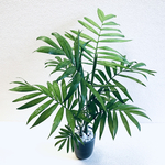 ハイドロカルチャー　テーブルヤシ　大きいサイズ　小石原焼　飛びかんな　陶器　観葉植物