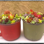 アンティーク風カップ鉢☆寄せ植え☆多肉植物