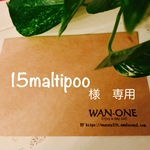 15maltipoo様　専用
