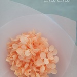 紫陽花守り　プリザーブドフラワー　紫陽花