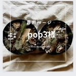 【pop3様専用ページ】