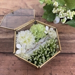 【再販4】リングピロー  ＊spring for 3rings＊  ガラスケース 結婚式 ウェディング
