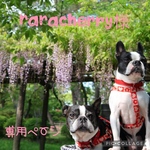 raracherry様専用ページ