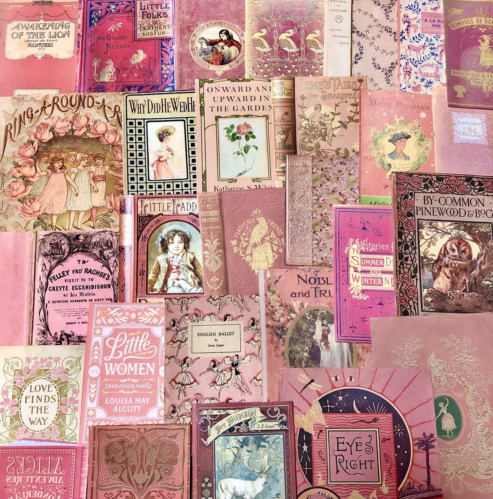 薔薇とレースのジャンクジャーナル・雑記帳　ピンククリスマス 白い恋人パーク6月下旬薔薇めぐり②～ピンクと白の薔薇