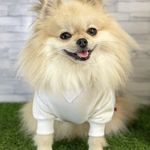 犬服 デースデーロンT 名入れ 誕生日 トレーナー 薄手　送料無料　ドッグウェア 【 トイプー ポメラニアン ヨーキー チワワ ダックス 】