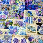 (再販×13)紫陽花のジャーナルペーパーセット＊ジャンクジャーナル＊コラージュ素材