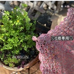 🍀K様専用🍀