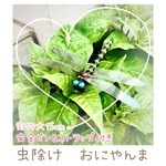 虫除けアイテム　おにやんま　オニヤンマ