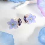 桔梗✴︎bijou