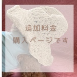 追加料金