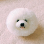 癒しのdogぽんぽん(*´꒳`*)　ビションフリーゼ顔タイプ　ブローチ仕様