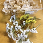 cherie  claire様　専用