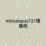 ミニチュア…「mimutopuu121様専用」