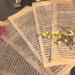 【送料無料】洋書(英字)の蝋引き紙(ワックスペーパー)5枚セット