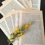 【送料無料】洋書(英字)10枚セット