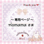 🍓riomama様 - ランチョンマット - 《再販リクエストオーダー》2枚
